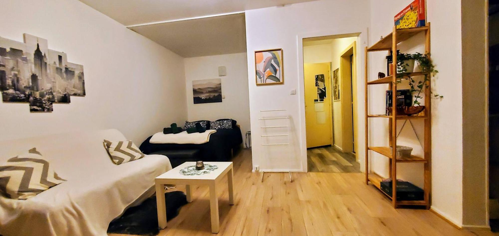 Lumineux 1 pièce avec parking fermé et arrêt de tram à 100 m Apartamento Mulhouse Exterior foto
