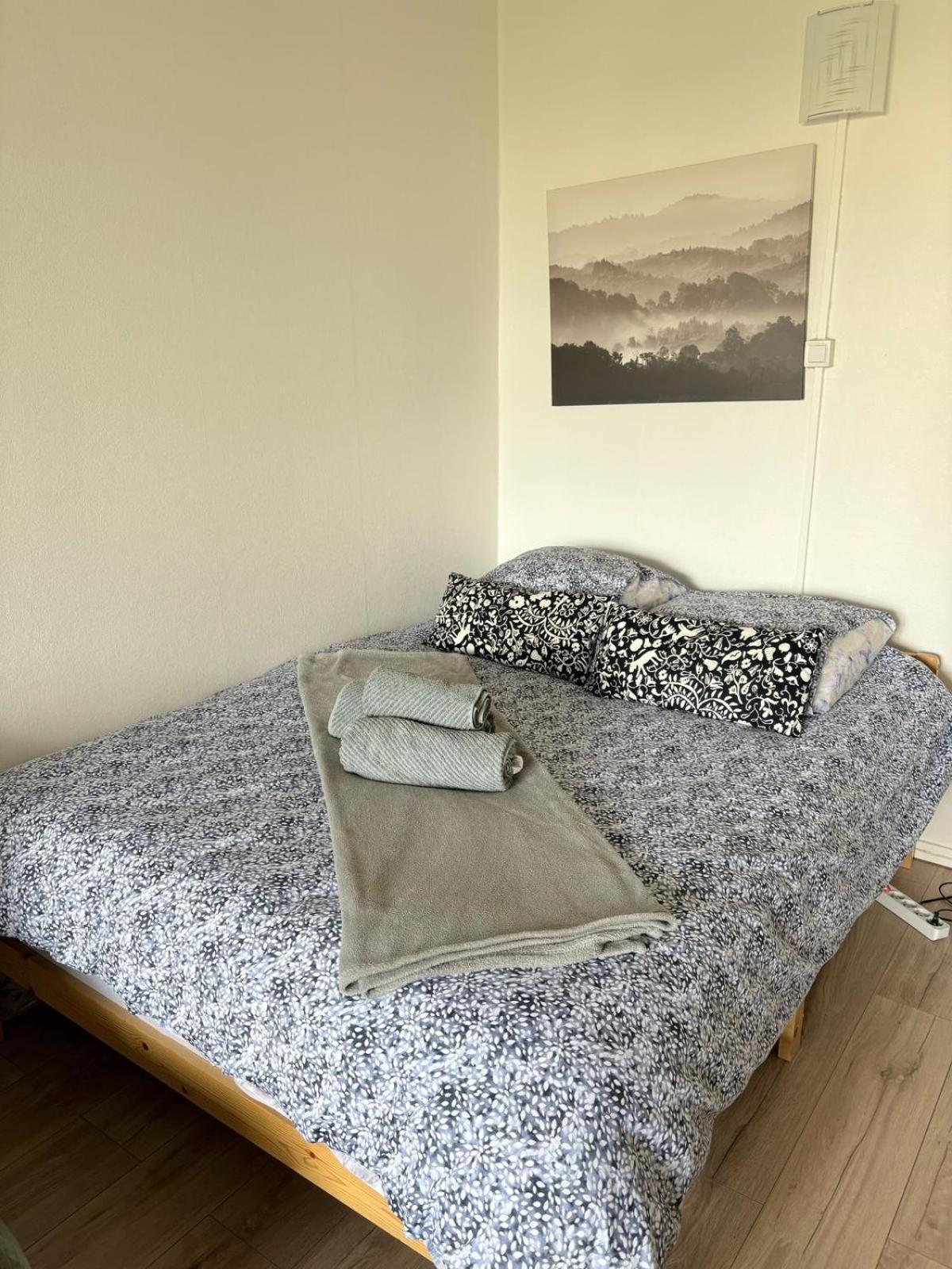 Lumineux 1 pièce avec parking fermé et arrêt de tram à 100 m Apartamento Mulhouse Exterior foto